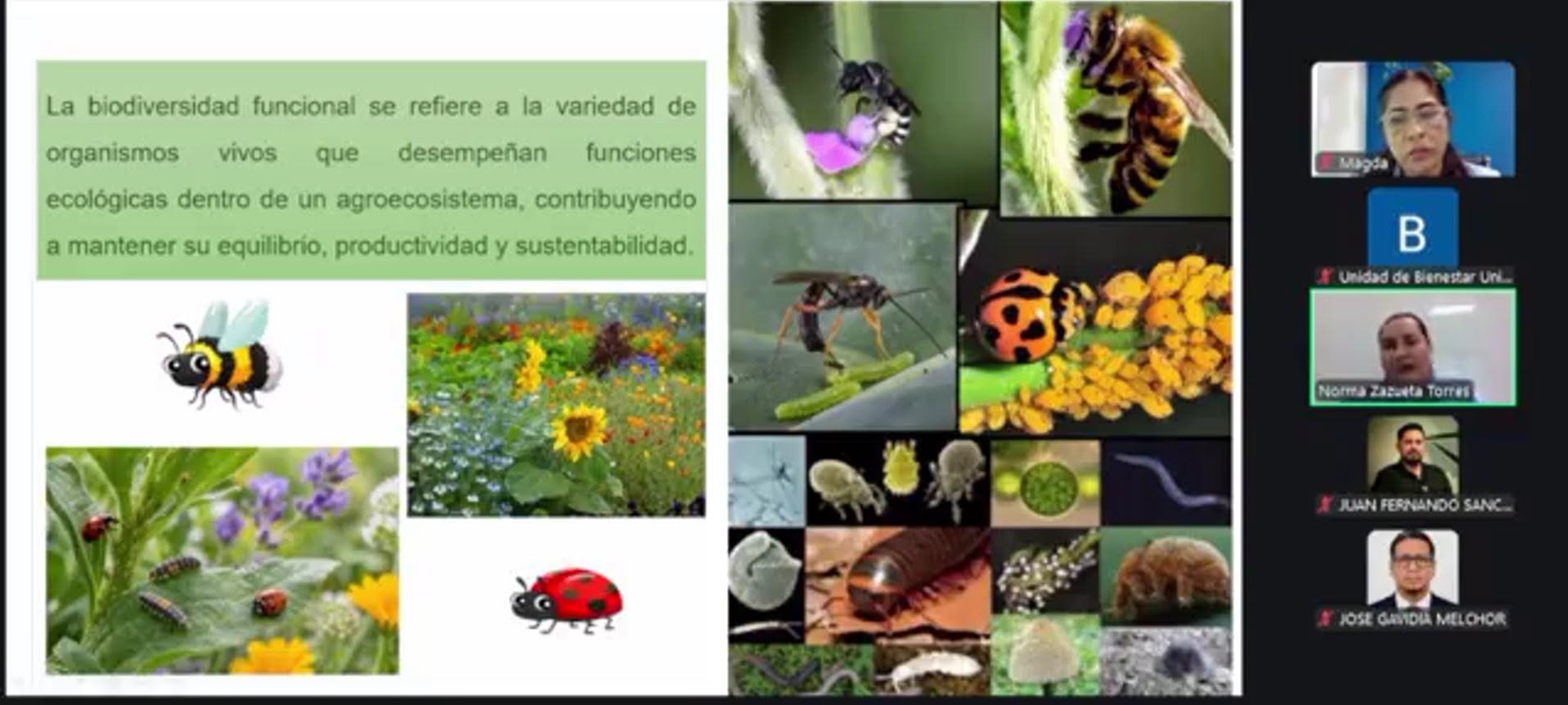UAS y universidad peruana fortalecen la colaboración académica internacional con el Seminario ECO-GESTORES